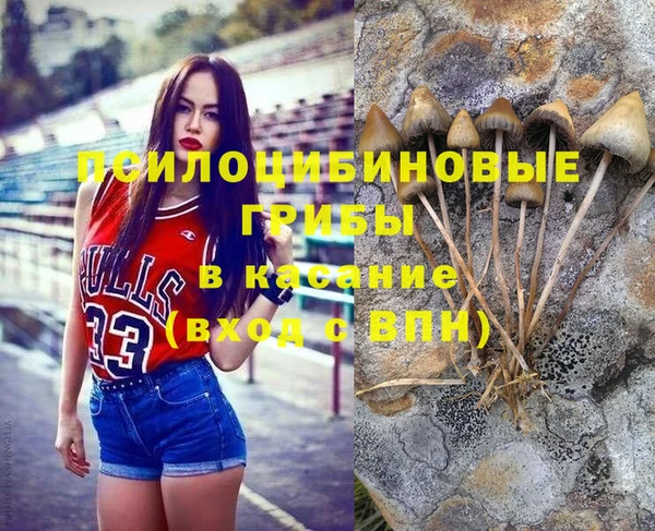 стаф Балахна