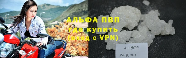 стаф Балахна