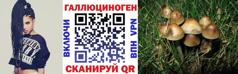 Псилоцибиновые грибы Psilocybe  наркошоп  hydra как зайти  Корсаков 